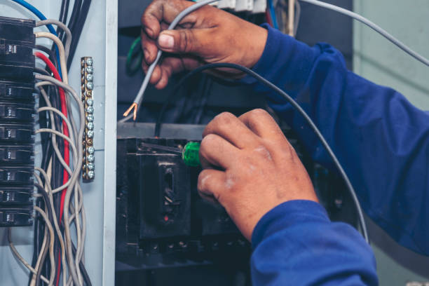 Best Ceiling Fan Installation Electrician  in Winter Garden, FL