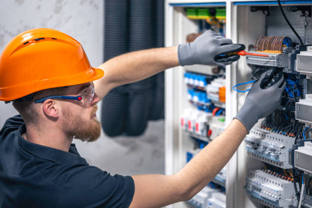 Best Electric Panel Repair  in Winter Garden, FL